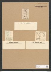 Cocconeis diaphana W. Sm. (de-Toni-Nr.: Genus 40, Species 1858) Zeichnungen Sammlung Grunow Nr. 3683 (NHMW-BOT-W0371305)